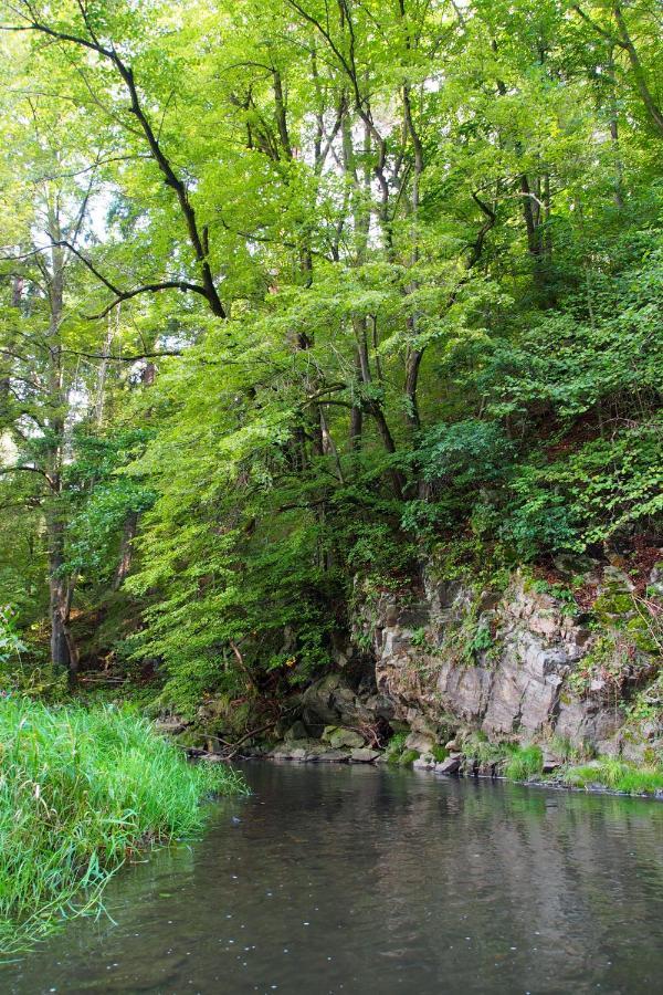 Camping Fox Cesky Krumlov Kájov Exterior foto